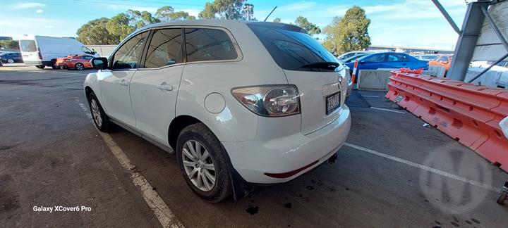 Lazy Owl Image