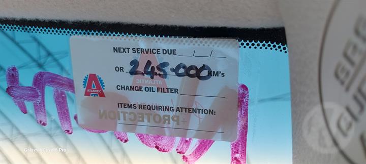 Lazy Owl Image