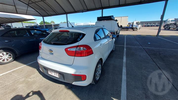 Lazy Owl Image