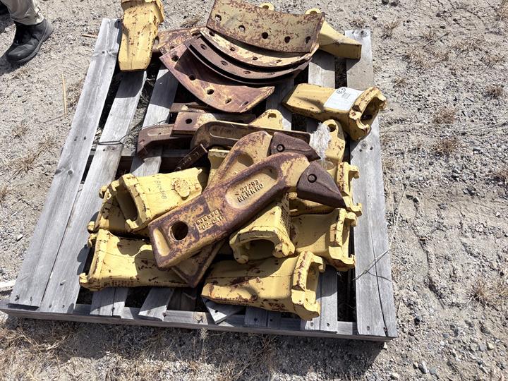 Lazy Owl Image