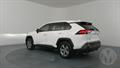 Lazy Owl Image
