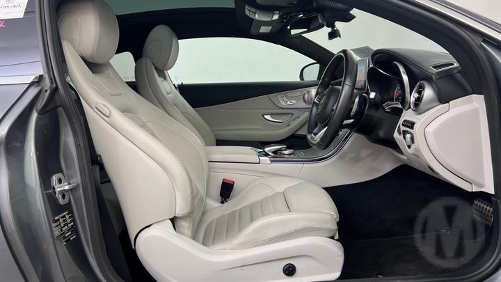 Lazy Owl Image