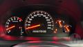 Lazy Owl Image