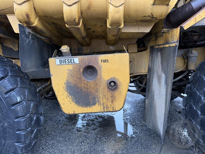 Lazy Owl Image