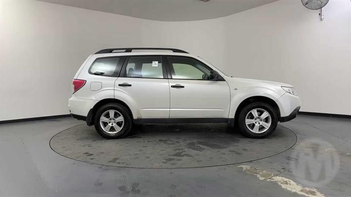 Lazy Owl Image