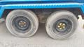 Lazy Owl Image