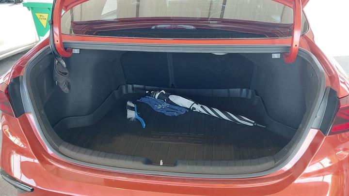 Lazy Owl Image