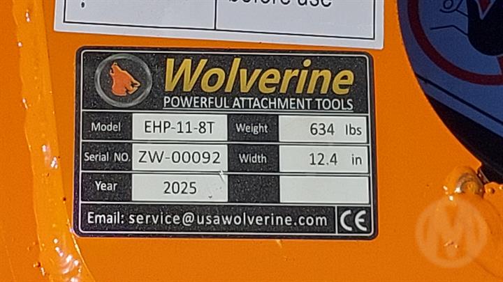 Lazy Owl Image