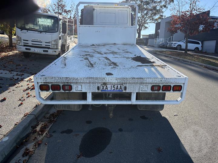 Lazy Owl Image