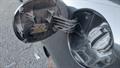 Lazy Owl Image