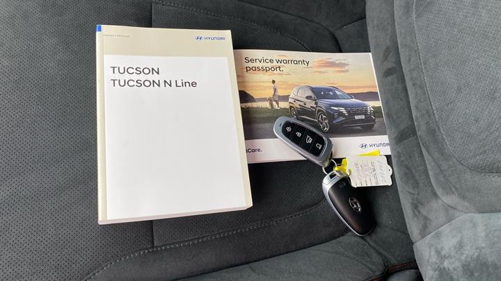 Lazy Owl Image