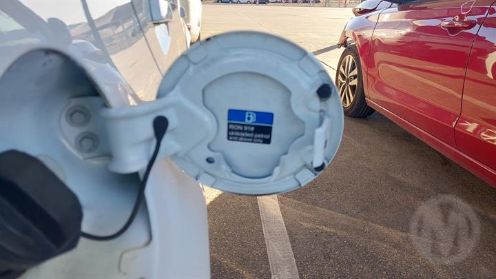 Lazy Owl Image