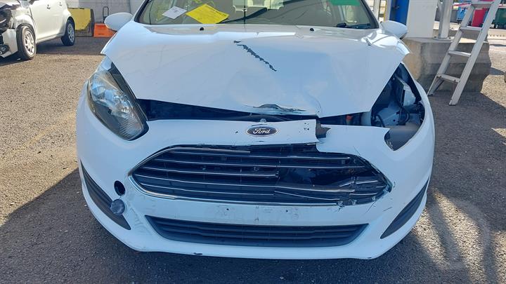Lazy Owl Image