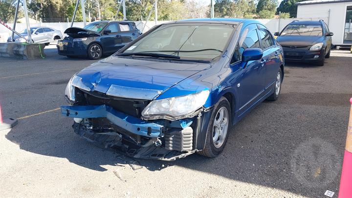 Lazy Owl Image