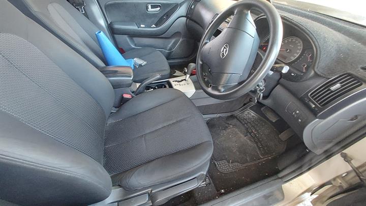 Lazy Owl Image