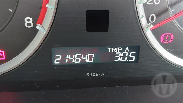 Lazy Owl Image