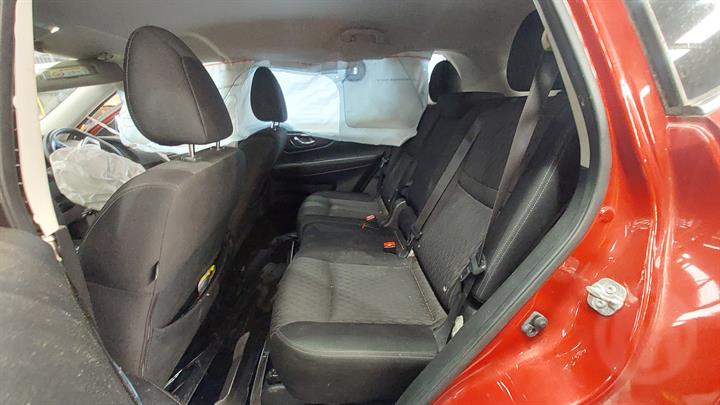 Lazy Owl Image