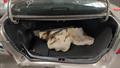 Lazy Owl Image