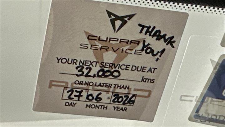 Lazy Owl Image