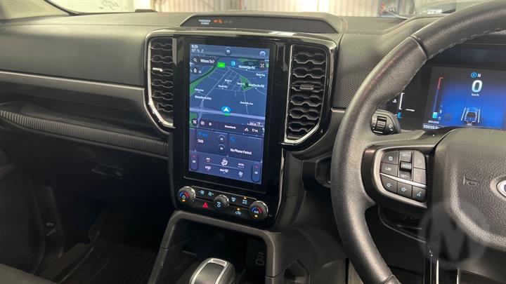 Lazy Owl Image