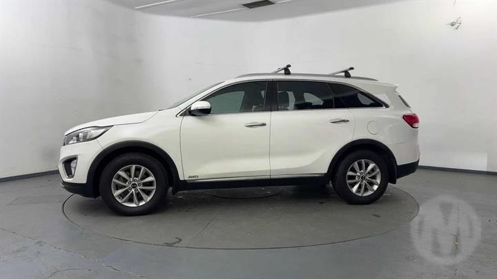 Lazy Owl Image