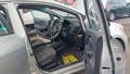 Lazy Owl Image