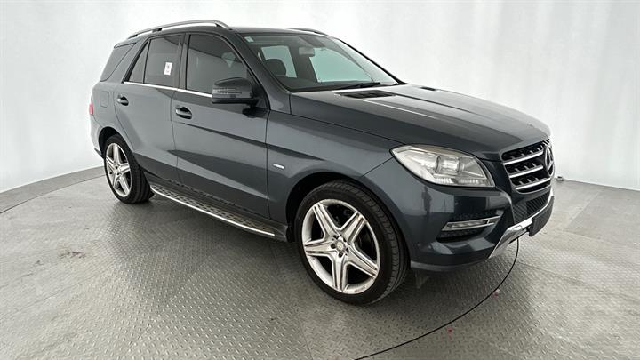 Lazy Owl Image