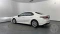 Lazy Owl Image
