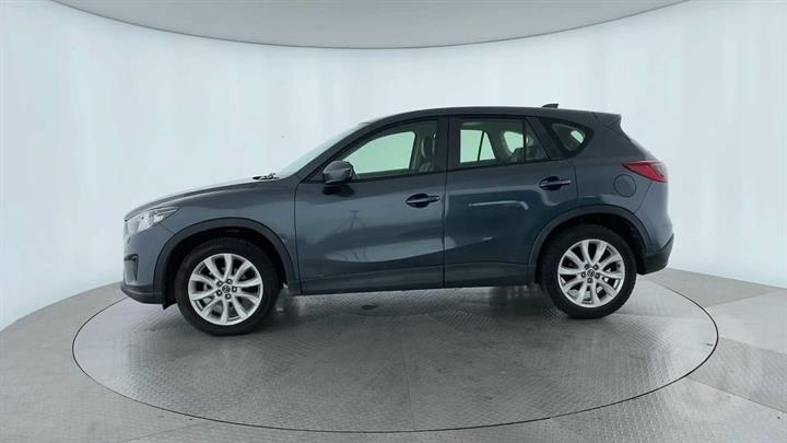 Lazy Owl Image