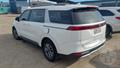 Lazy Owl Image