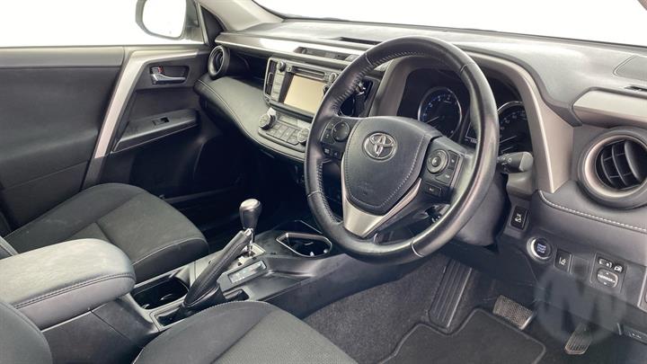 Lazy Owl Image