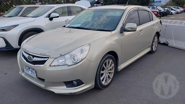 Lazy Owl Image