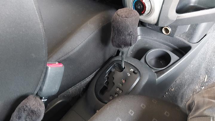 Lazy Owl Image