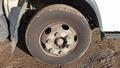Lazy Owl Image