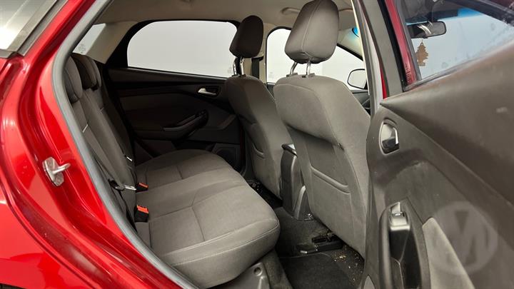 Lazy Owl Image