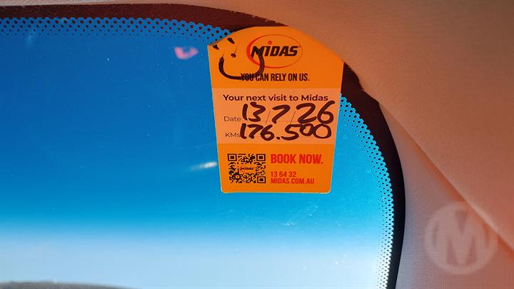 Lazy Owl Image