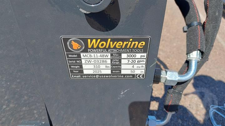 Lazy Owl Image