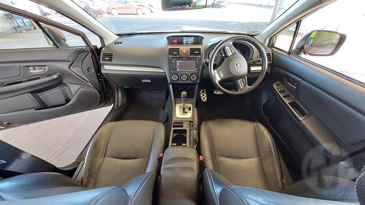 Lazy Owl Image