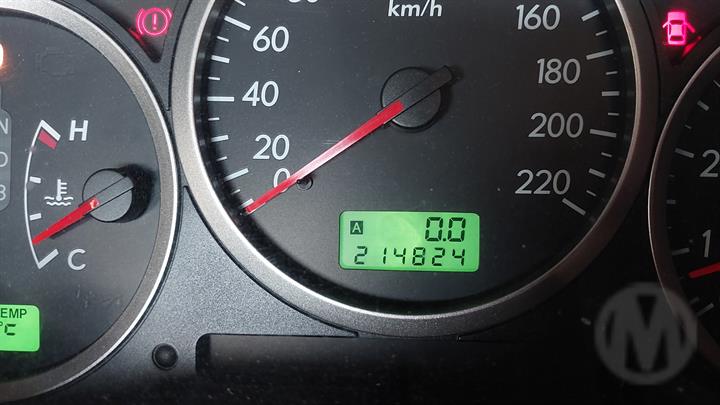 Lazy Owl Image