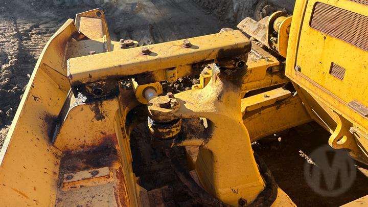 Lazy Owl Image