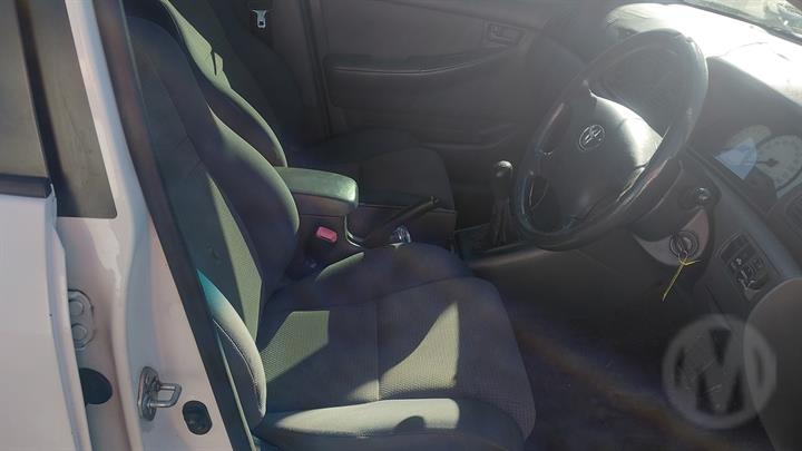 Lazy Owl Image