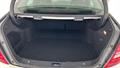 Lazy Owl Image