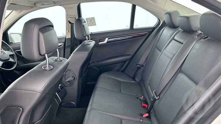 Lazy Owl Image
