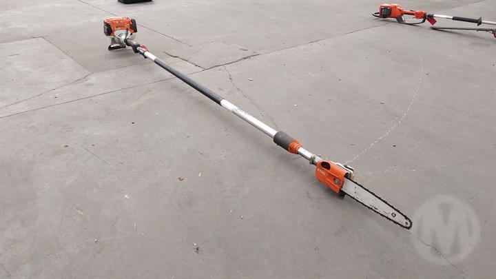 Lazy Owl Image