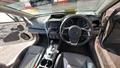 Lazy Owl Image