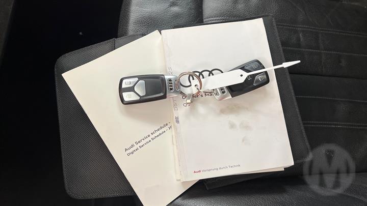Lazy Owl Image