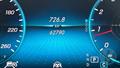 Lazy Owl Image