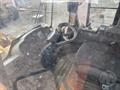 Lazy Owl Image