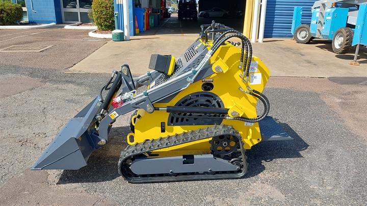 Lazy Owl Image