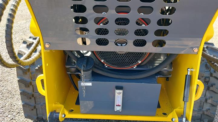 Lazy Owl Image